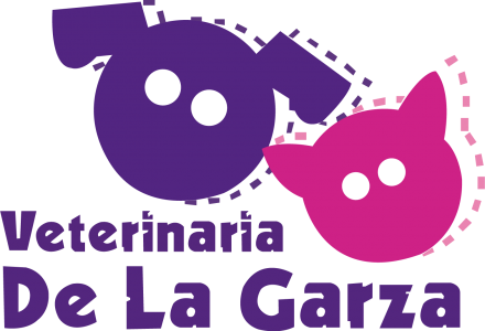 Veterinaria De La Garza - Plaza Jejaloja - Investo Bienes Raíces